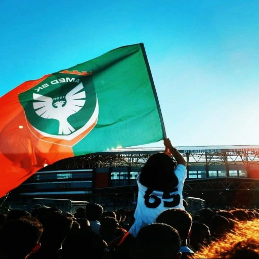 AMED SPOR