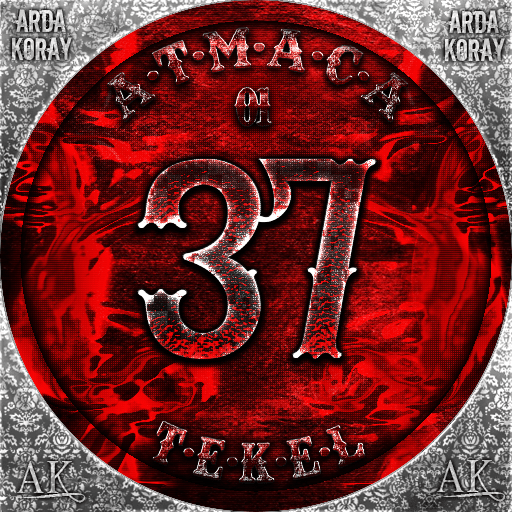 53#